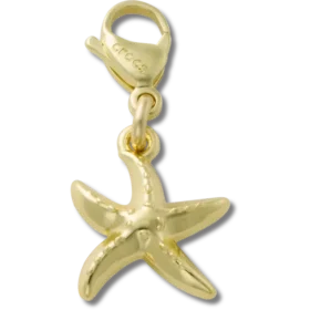 Gold Starfish Charm Jibbitz Charm