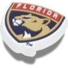 Nhl® Florida Panthers Jibbitz™ Charms