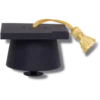 Recordyourownsoundgraduation Jibbitz™ Charms