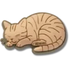 Tabby Cat Jibbitz™ Charms