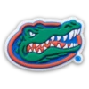 University of Florida Jibbitz™ Charms