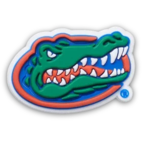 University of Florida Jibbitz™ Charms