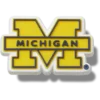 University of Michigan Jibbitz™ Charms